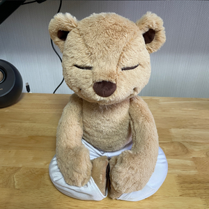 meddy teddy 메디테디 요가인형 정품