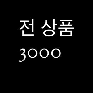 전상품 3000(상태 매우 좋음)