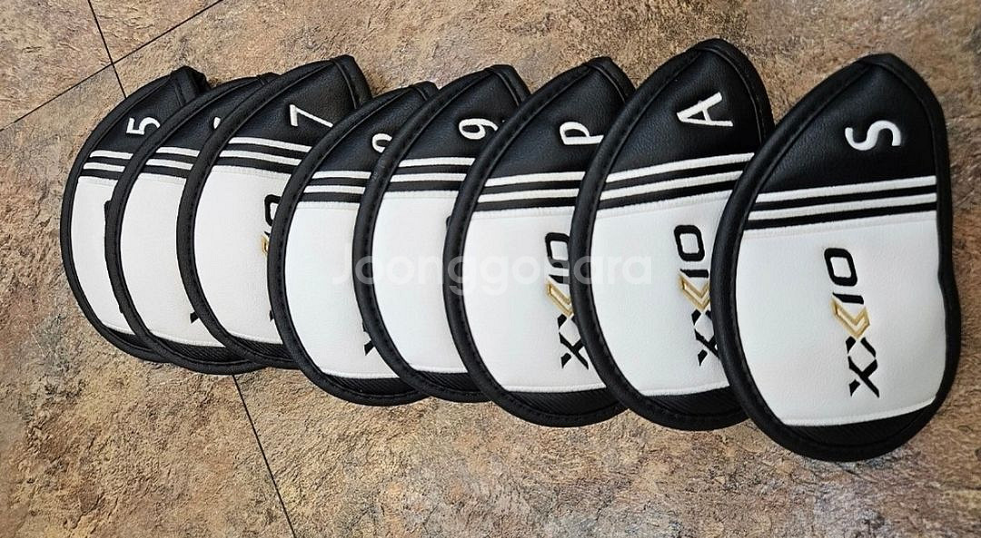 젝시오 12 아이언 8개(5-P, G,S) 경량스틸 R--2