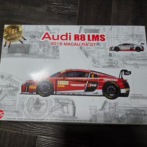 Nunu Models 1/24 Audi R8 LMS