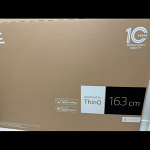 LG OLED 65인치 tv