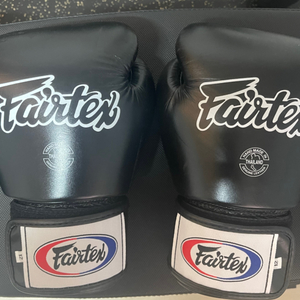 fairtex 페어텍스 12온스 가죽 글러브