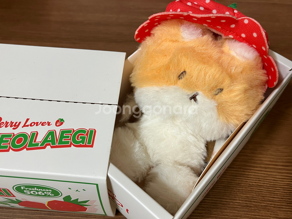 단순개봉 미사용품) 터래기 10cm 인형--2