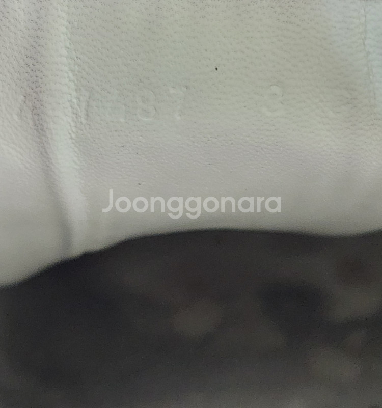 구찌 270mm 마몬트스니커즈--6