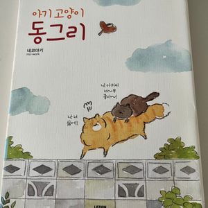 아기고양이 동그리 (반택포함)