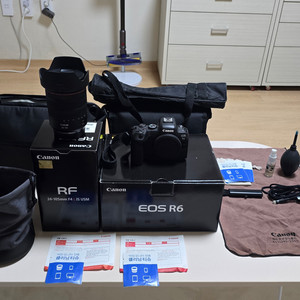 캐논 EOS R6 + RF 24-105 F4 L IS