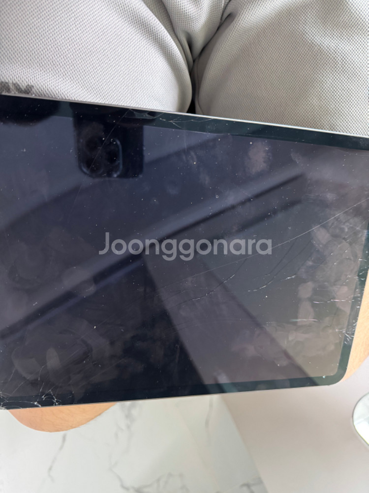 아이패드 프로2세대11인치 256gb 셀룰러--2