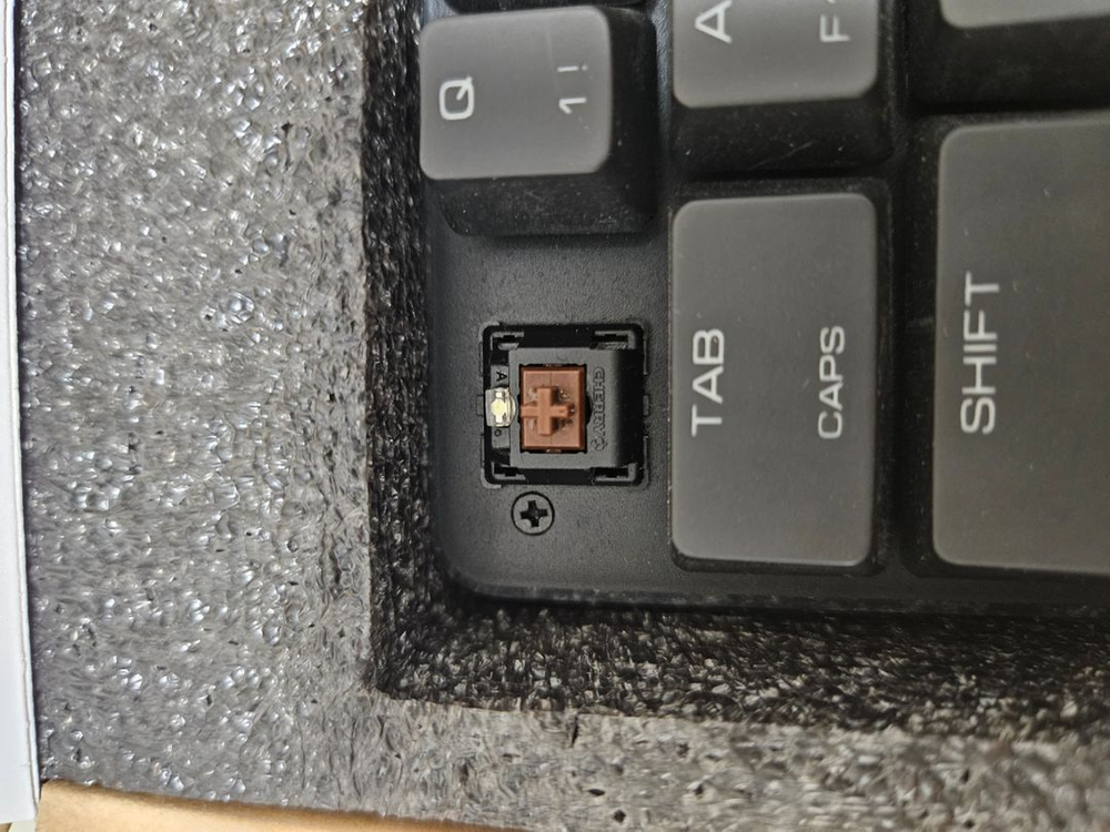 Magicforce49 / 체리 갈축 이미지