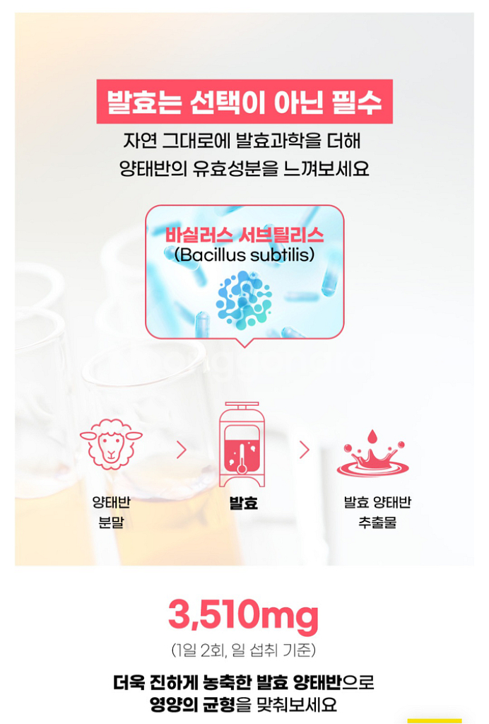 건강식품 닥터큐민 액상콜라겐--6