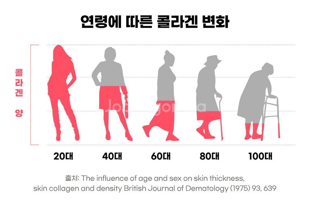 건강식품 닥터큐민 액상콜라겐--9