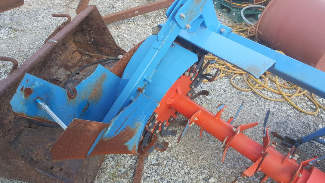 대호양파베토기--1