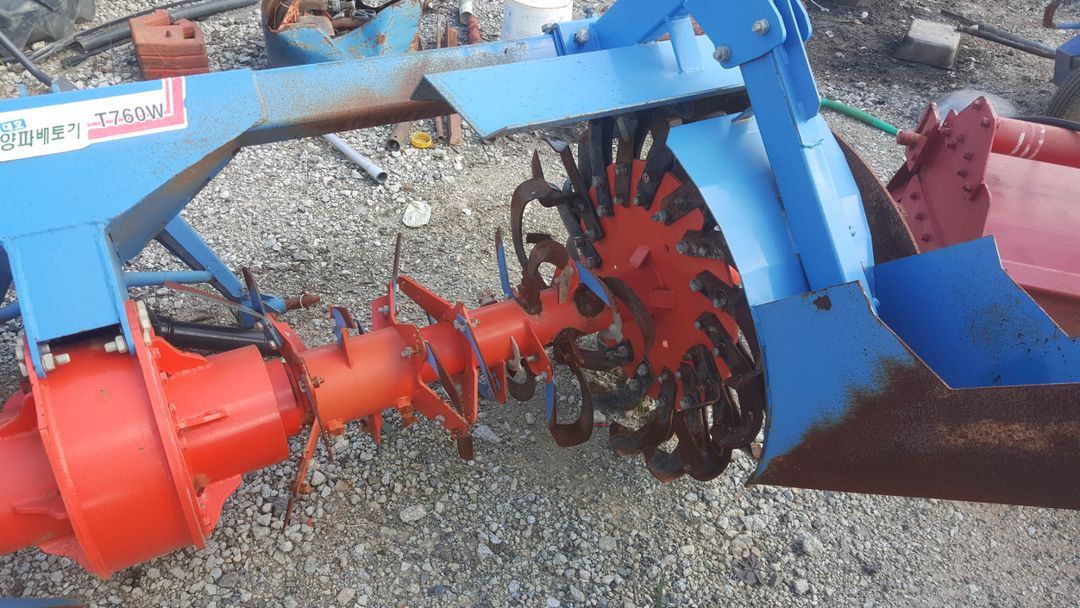 대호양파베토기--6