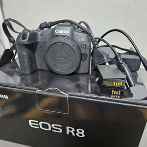 캐논 eos r8 판매합니다