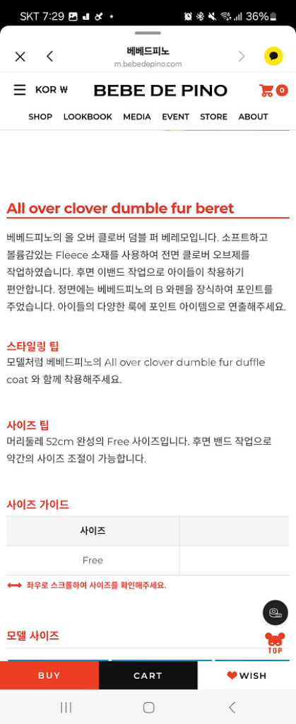 베베드피노 베레모--2