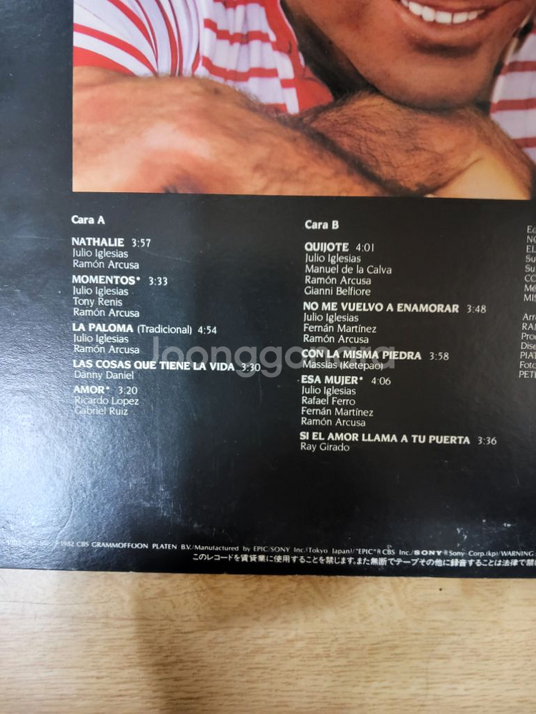 JULIO IGLESIAS 음반 (LP 턴테이블 오디오--3