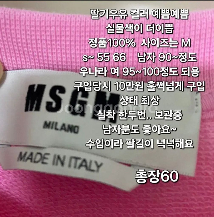 312 ) 정품 MSGM 맨투맨 m 딸기 긴팔 남여공용--2