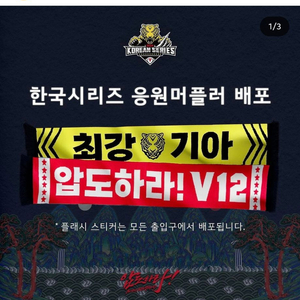 기아타이거즈 v12 한국시리즈응원머플러&담요 판매합니다