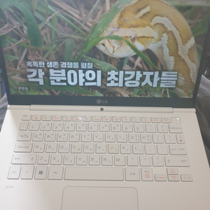 엘지 그램 14z970 980g 가벼운 노트북