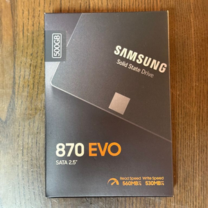 삼성 870 EVO 500GB