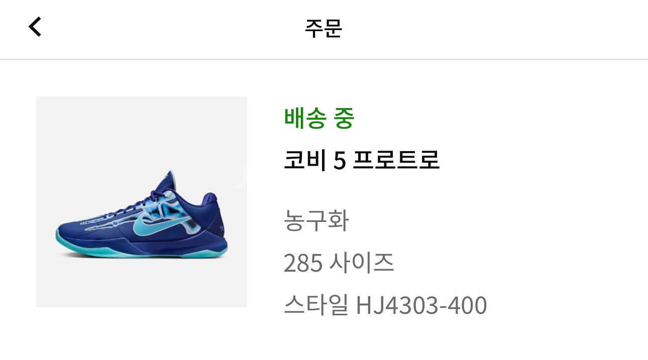 코비5 프로트로 x-ray 285--1