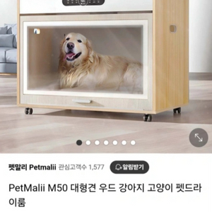 펫말리 M50 대형견 펫드라이룸