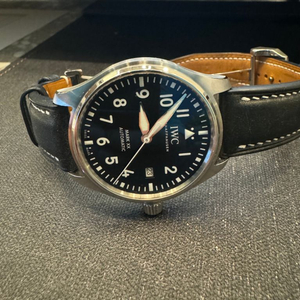 IWC 마크 20