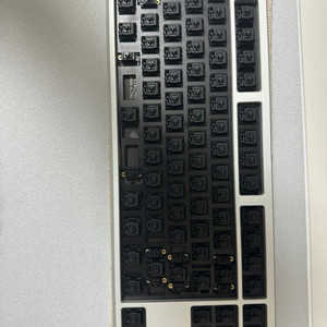 frog tkl + venom mx (상구리) 판매