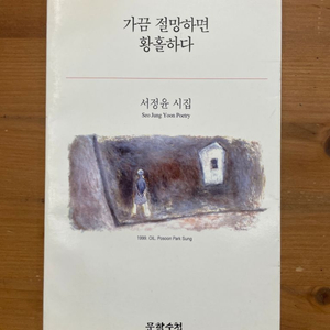 가끔 절망하면 황홀하다 : 서정윤 시집 (초판)