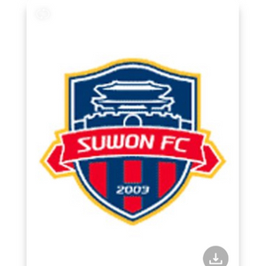 수원 VS FC서울 원정석 어른1,아이1 총 2장