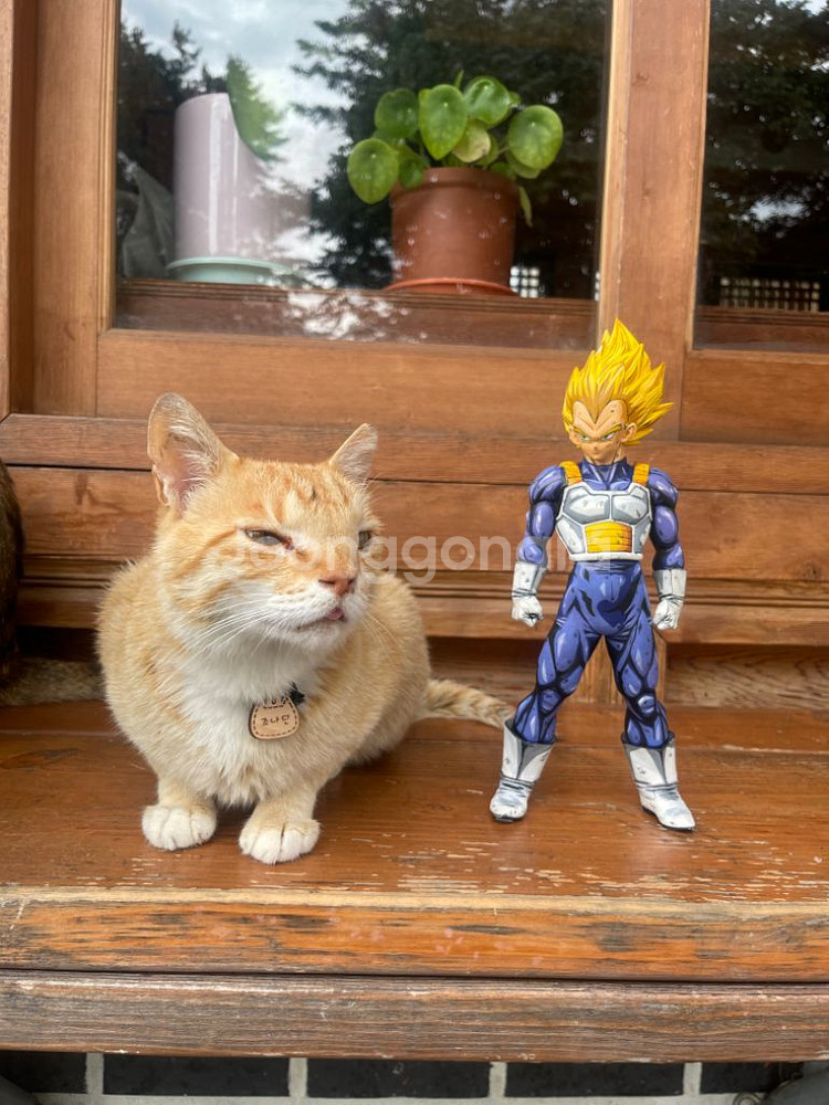 리페인트 베지터 피규어--6