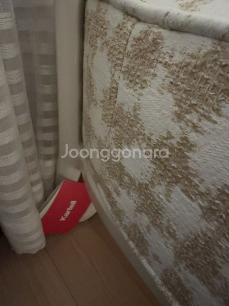 까르텔 카라 팬시 암체어--3