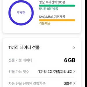 sk 데이터 2기가