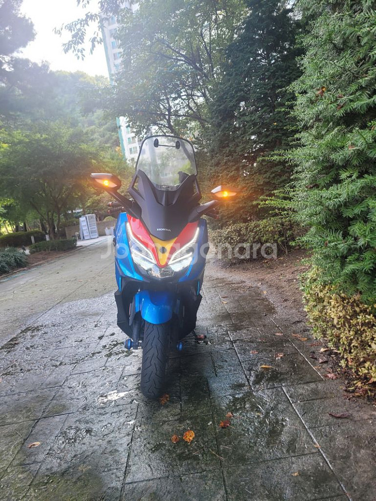 포르자350 21년식--3