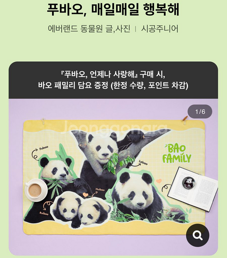 푸바오 언제나 사랑해 책 담요--1