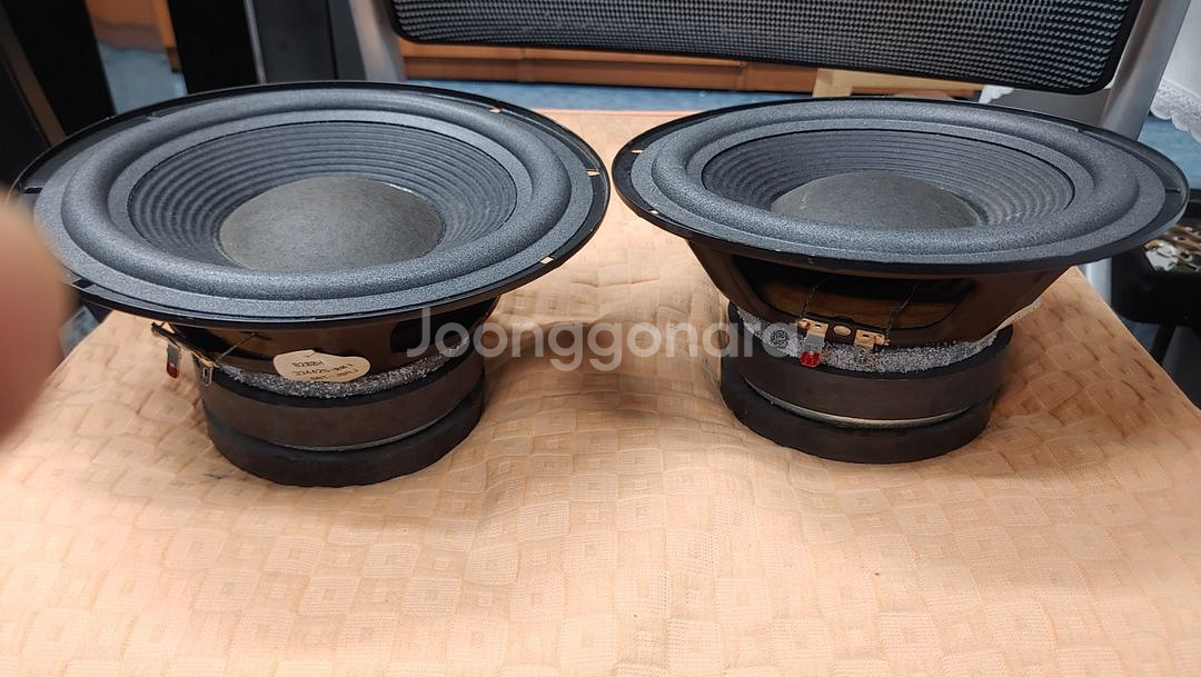 인피니티 RS-8 스피커--5