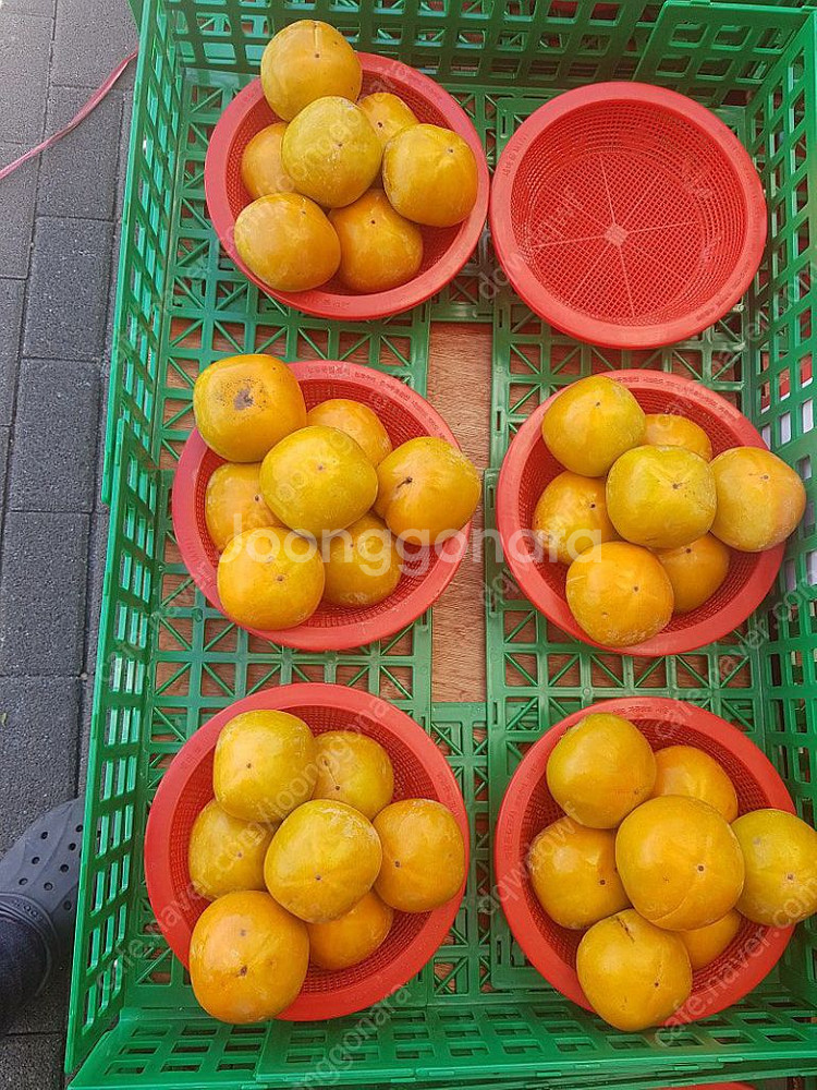 칸막이 야채과일--1