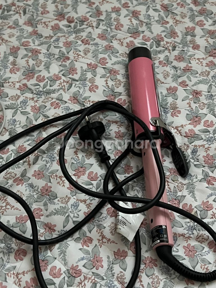 봉고데기--0