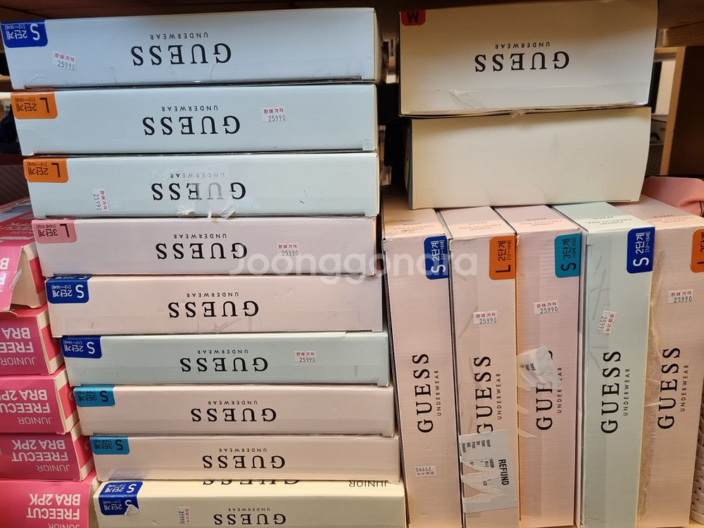 게스주니어 프리컷브라 2세트 심리스 여아 초등,중등--2