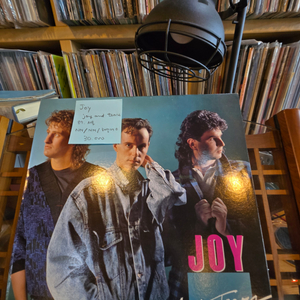 Joy.joy and tears.87.서울.lp