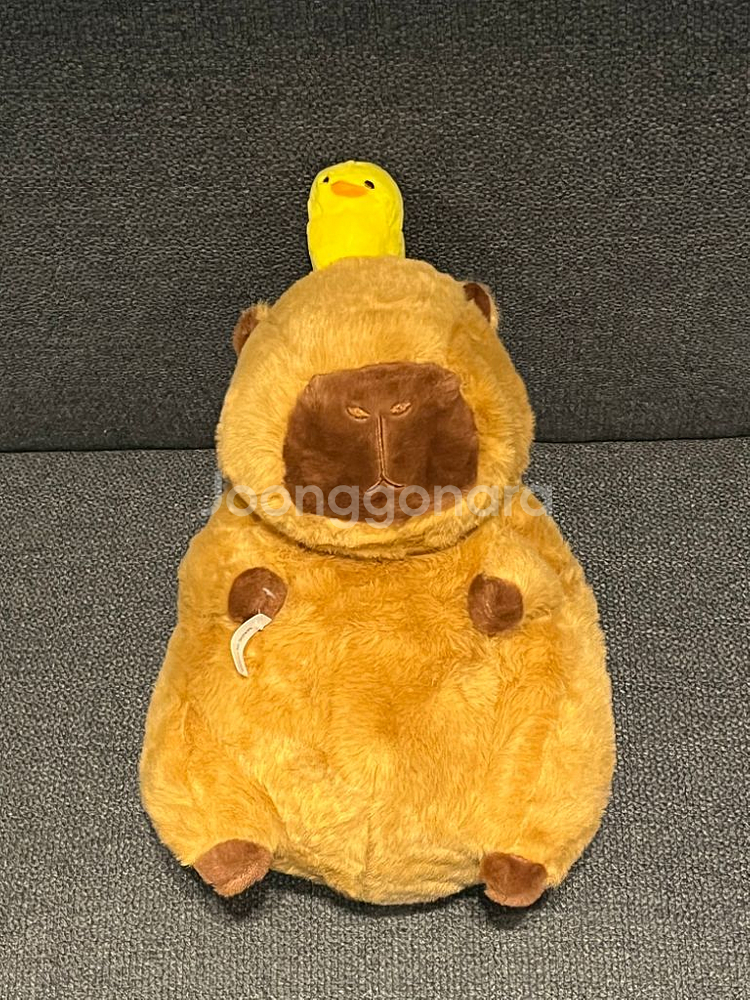 (배포) 카피바라 병아리 동물 인형--1