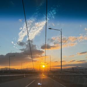 포항 울산 원정석