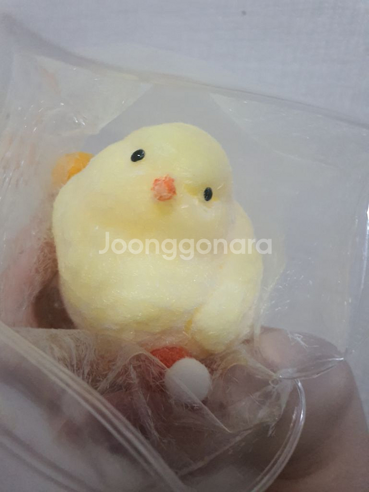 병아리 스퀴시 인스타--0