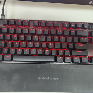 apex pro tkl 2023 급처