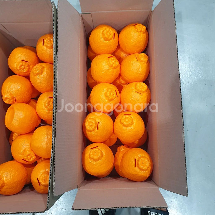 저금통 겸용다용도케이스--7