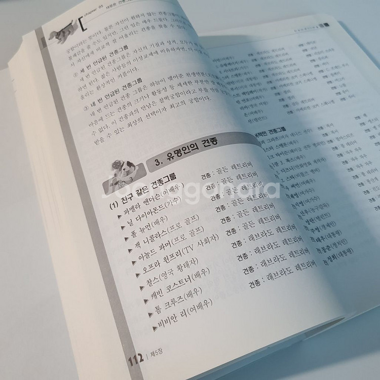 (반려동물학)핸들링개론--3