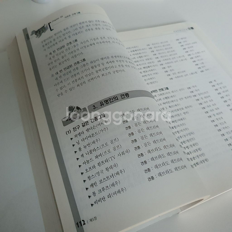 (반려동물학)핸들링개론--2