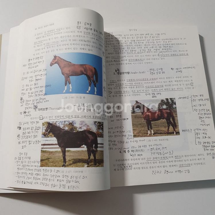 (반려동물학)동물자원학개론--3