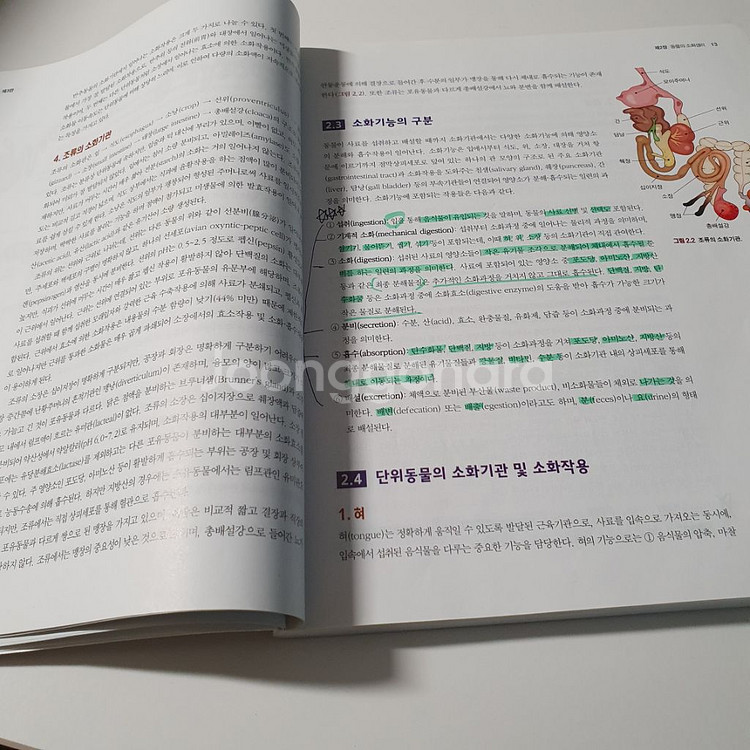 (반려동물학)동물영양학--1
