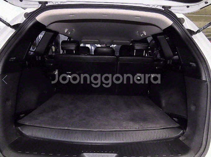 르노(삼성) 더 뉴QM6 2.0 LPe LE--7