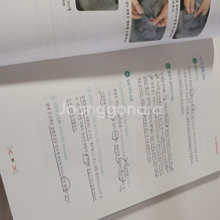 (반려동물학)반려견 미용의 이해 기초--2